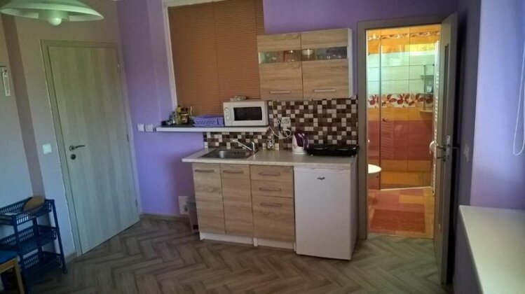 Apartments Klentnice U Mikulova - Photo4