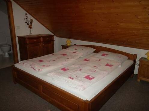Pension Dagmar Friedrichova - Photo2