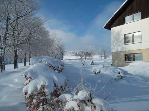 Pension Dagmar Friedrichova - Photo5