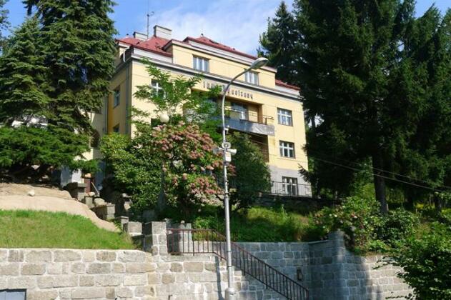Villa Wildner Vysluni