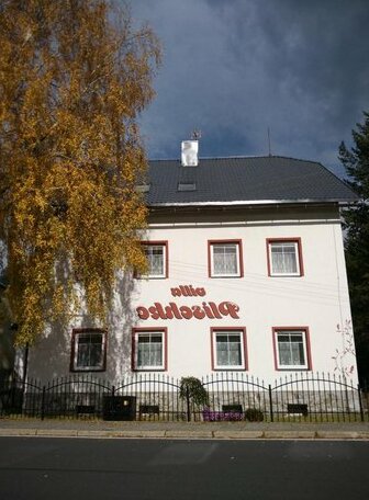Villa Plischke - Photo2