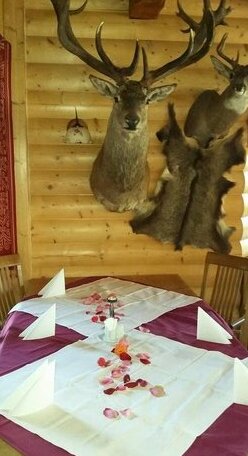 Pension Grizzly - Photo3