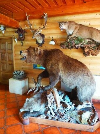 Pension Grizzly - Photo4