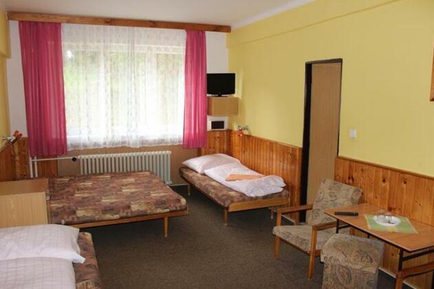 Hotel U Prehrady - Photo5