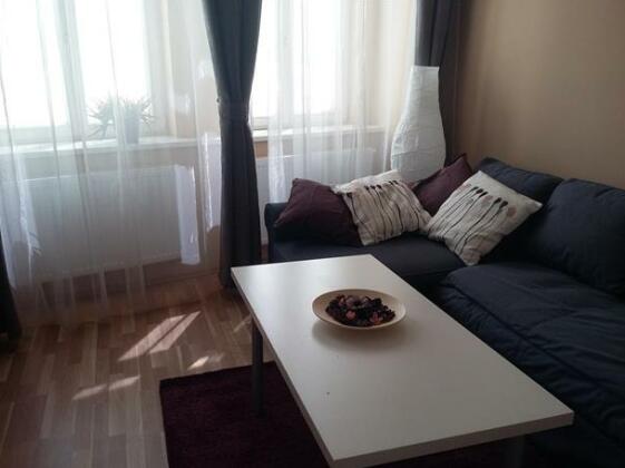Apartment near the metro Andel - near the embankment and brewer - Photo3