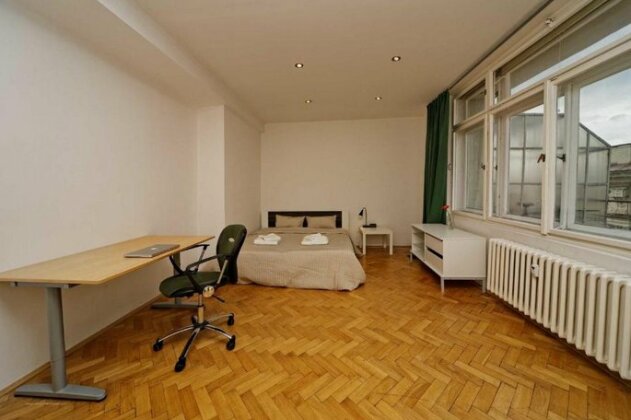 Apartments Vorsilska - Photo5