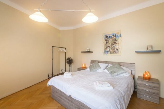 Castle View Spacious Apartment - Photo2
