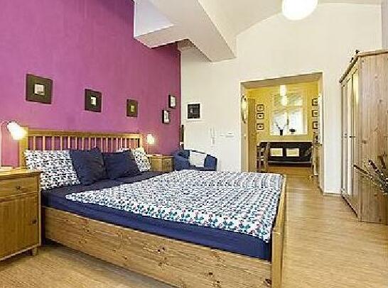 Prague Comfort Apartment - Photo2