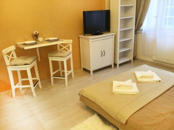 Studio Apartment Benediktska - Photo2
