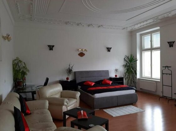 Sunny apartment near the Wenceslav Square - Photo5