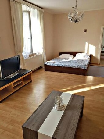 Sunny apartment with swimming pool Prague - Photo4