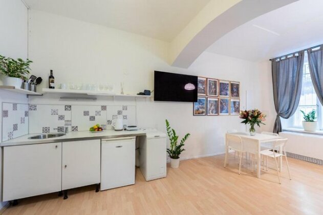 Victory Apartment Prague - Photo4