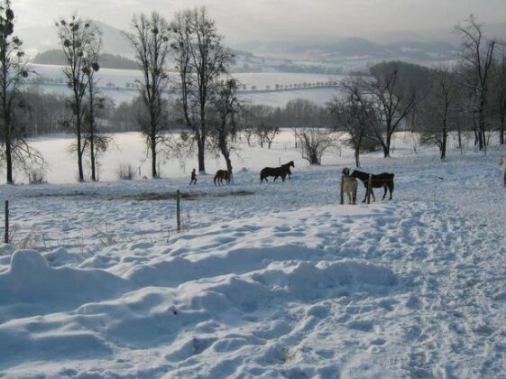 Penzion Hradisko - Photo3