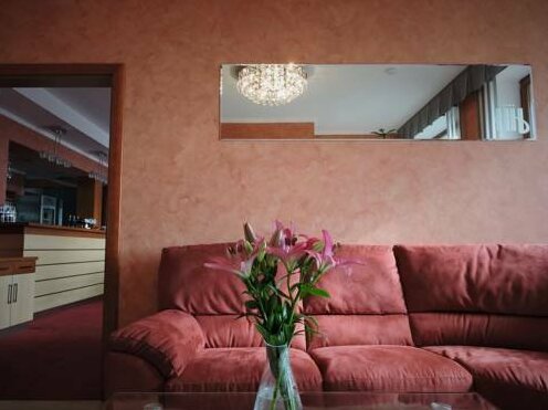 SKi apartmany Hartman - Photo2