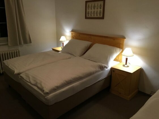 Hotel Tri ruze - Photo3