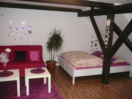 Apartmanovy dum Hartmanice - Photo4
