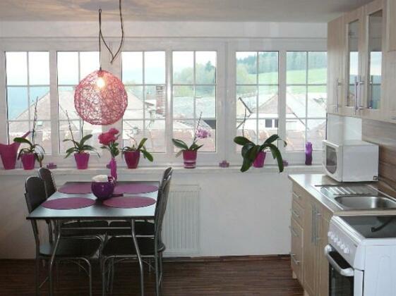 Apartmanovy dum Hartmanice - Photo5