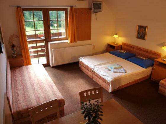Pension Vlasta - Photo2