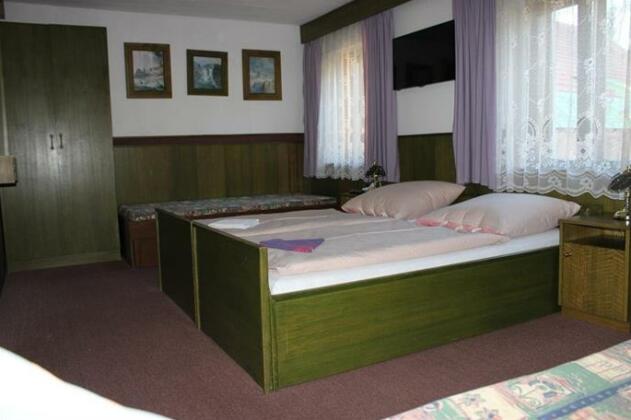 Penzion U Zemanku - Photo5