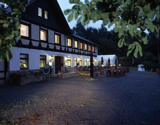 Waldquelle Hotel Restaurant - Photo4