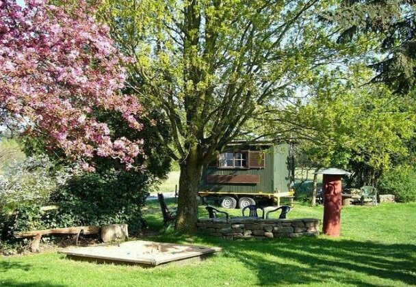 Gasthaus-Pension Zum Brandweiher - Photo3