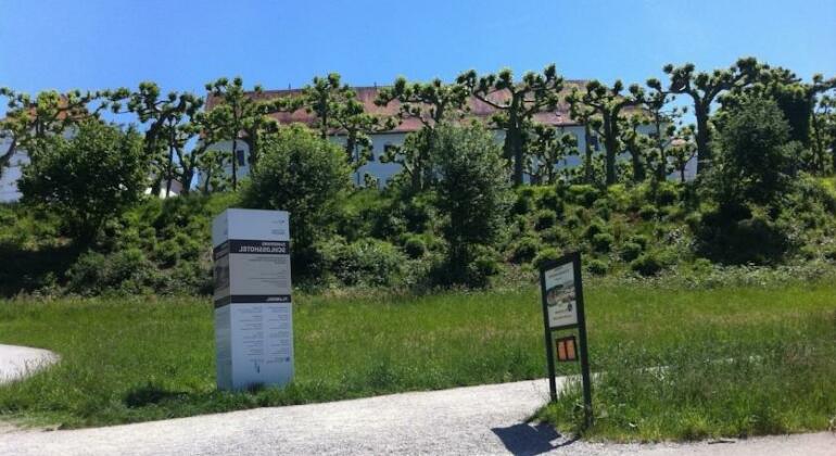 Apparthotel Garni Superior Simsseeblick - Photo5
