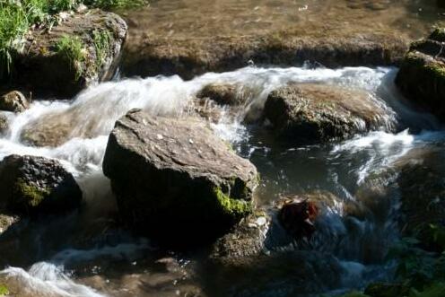 Gastehaus Wildbach Bad Feilnbach - Photo4