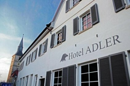 Hotel Adler Bad Friedrichshall