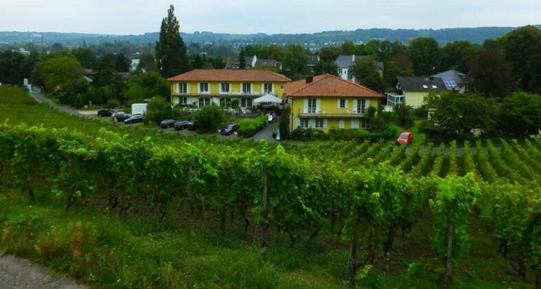 Weingut und Hotel Haus am Drachenloch - Photo2