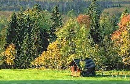 Kur- und Ferienhotel Gertraud - Photo2