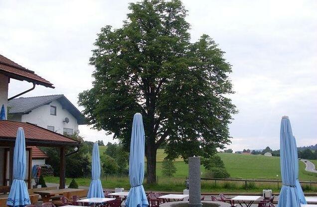 Gasthof Pension Gregori - Photo5
