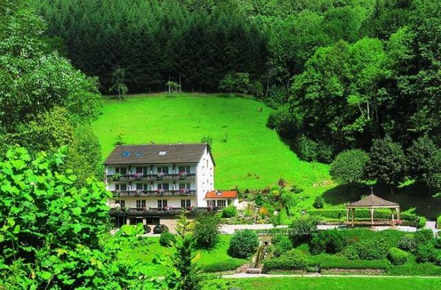 Flair Hotel Adlerbad - Photo2