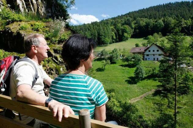 Paradies im Schwarzwald - Photo3