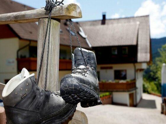 Paradies im Schwarzwald - Photo4