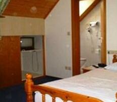 Waldhotel Palmspring - Photo4