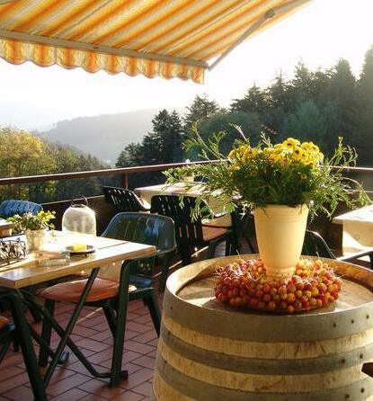 Waldhotel Palmspring - Photo5