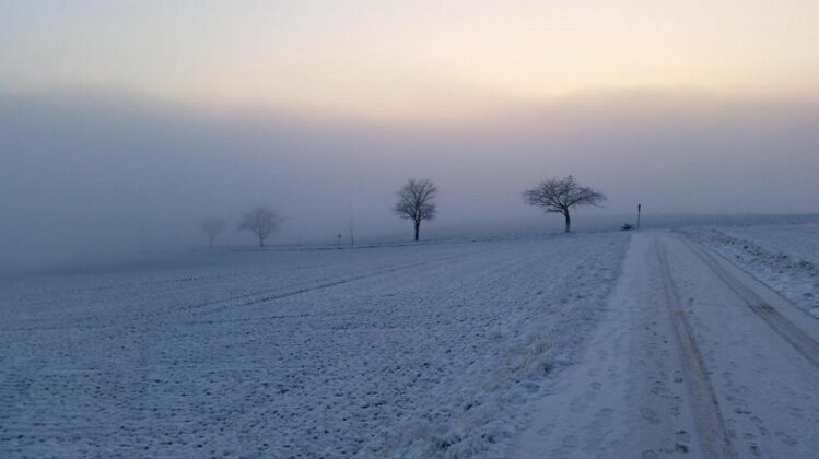 Landgasthaus Zu den Erdfallen - Photo3