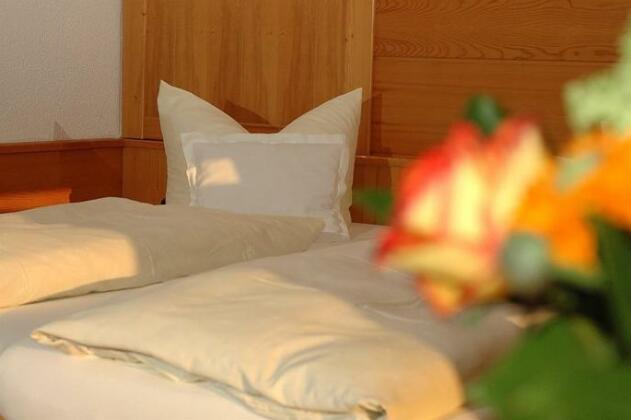 Hotel Alpenhof Bad Tolz - Photo2