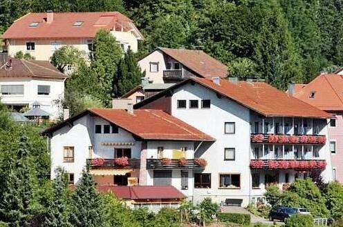 Aparthotel Schwarzwald Panorama - Photo2