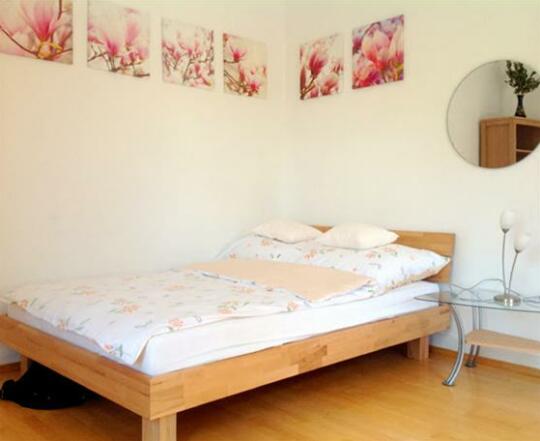 Apartment Baden - Photo3