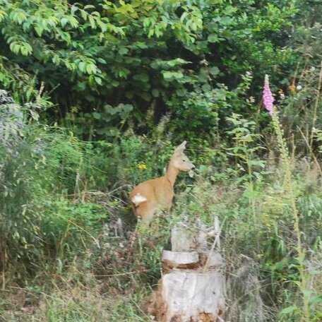 Naehe Nationalpark - Photo2