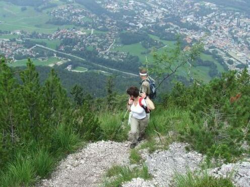 Landgasthof Bauerngirgl - Photo4