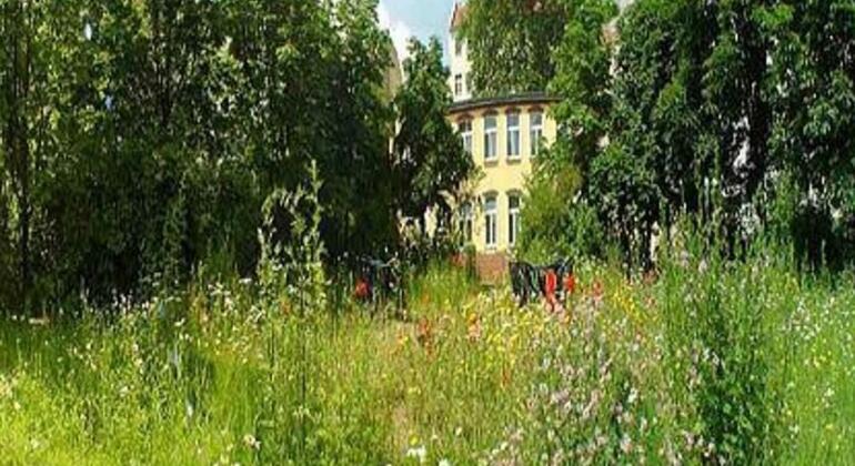 Bornholmer Hof im Prenzlauer Berg - Photo2