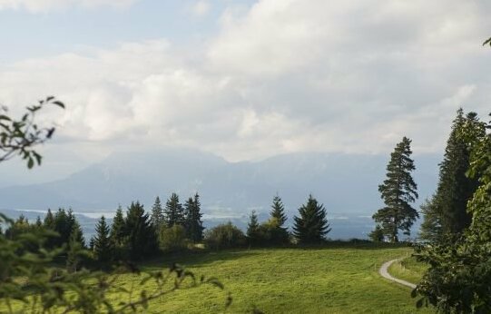 Panoramagasthof auf dem Auerberg - Photo5