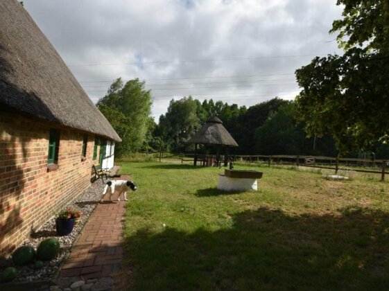 Cozy Holiday Home on Farm in Biendorf - Photo5
