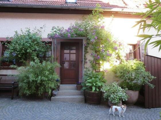 Ferienhaus Karlsruhgasse - Photo2