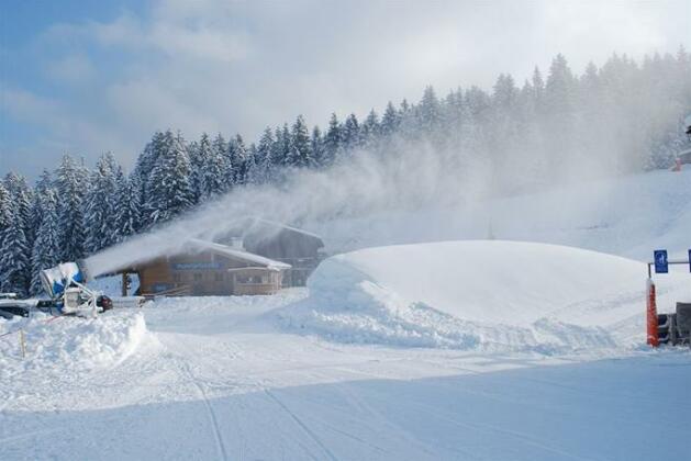 Alpengasthof Gotschenalm - Photo2
