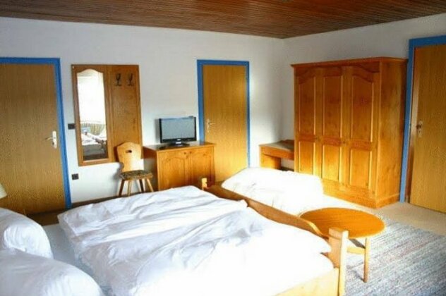 Hotel Berghof Bodenmais - Photo3