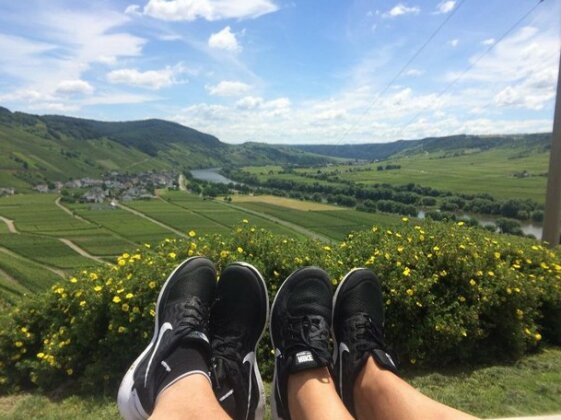 Pension und Weingut Moselblick - Photo5