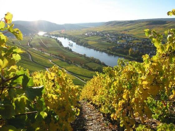 Weingut Gehlen-Cornelius - Photo4